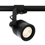 Micro TruColor RGBTW Outdoor Track Light 2V - Black