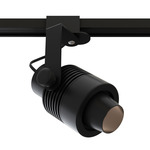 Micro TruColor RGBTW Outdoor Track Light 2V - Black