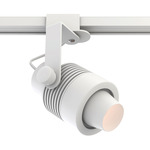 Micro TruColor RGBTW Outdoor Track Light 2V - White