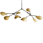 Stingray Chandelier - Black / Brass