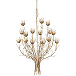 Star Magnolia Large Chandelier - Antique Brass / Clear
