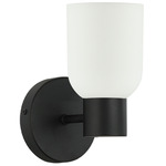 Vonda Wall Sconce - Matte Black / White