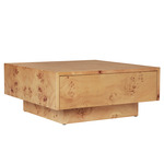 Burl Storage Coffee Table - Natural Burl