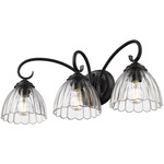 Audra Bathroom Vanity Light - Matte Black / Clear