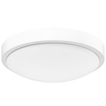 Gabi Ceiling Light - Matte White / Opal