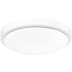 Gabi Ceiling Light - Matte White / Opal