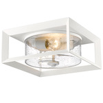 Smyth Outdoor Ceiling Light Fixture - Natural White / Clear Seeded