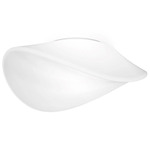 Balance Wall/Ceiling Light - White / White