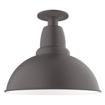 Cafe Outdoor Ceiling Light - Bronze Matte