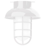 Vaportite Dome Cap Outdoor Ceiling Flush Light - White / Clear