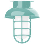 Vaportite Dome Cap Outdoor Ceiling Flush Light - Sea Green / Clear