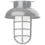 Vaportite Dome Cap Outdoor Ceiling Flush Light - Galvanized / Clear
