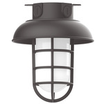 Vaportite Dome Cap Outdoor Ceiling Flush Light - Bronze Matte / Clear