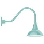Cafe Gooseneck Outdoor Wall Light - Sea Green / White