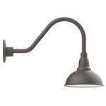 Cafe Gooseneck Outdoor Wall Light - Bronze Matte / White