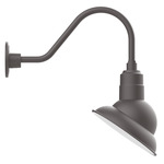 Emblem Outdoor Gooseneck Wall Light - Bronze Matte