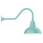 Cafe Gooseneck Outdoor Wall Light - Sea Green / White