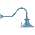 Homestead Outdoor Gooseneck Wall Light - Light Blue