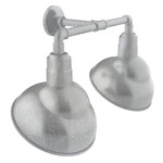 Emblem Double Outdoor Wall Sconce - Galvanized