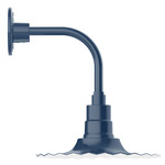 Radial Curved Arm Outdoor Wall Sconce - Navy