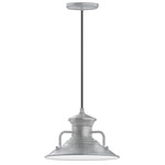 Homestead Pendant - Galvanized