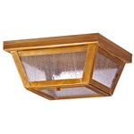 Williams Indoor / Outdoor Ceiling Light - Antique Brass / Seedy Marine