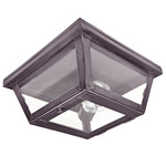 Williams Indoor / Outdoor Ceiling Light - Dark Brass / Frosted
