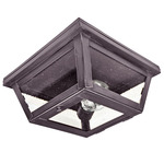 Williams Indoor / Outdoor Ceiling Light - Dark Brass / Seedy Marine