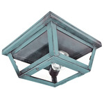 Williams Indoor / Outdoor Ceiling Light - Verdi Gris / Clear