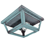 Williams Indoor / Outdoor Ceiling Light - Verdi Gris / Clear Seedy