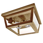 Williams Indoor / Outdoor Ceiling Light - Antique Brass / Seedy Marine