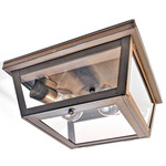 Williams Indoor / Outdoor Ceiling Light - Dark Antique Brass / Clear