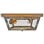 Williams Indoor / Outdoor Ceiling Light - Dark Antique Brass / Clear Seedy