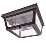 Williams Indoor / Outdoor Ceiling Light - Dark Brass / Frosted