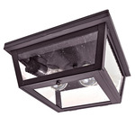 Williams Indoor / Outdoor Ceiling Light - Dark Brass / Seedy Marine