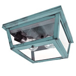 Williams Indoor / Outdoor Ceiling Light - Verdi Gris / Clear