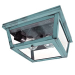 Williams Indoor / Outdoor Ceiling Light - Verdi Gris / Clear Seedy