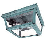 Williams Indoor / Outdoor Ceiling Light - Verdi Gris / Seedy Marine