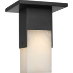 Covet Monopoint Ceiling Flush Light - Bronze / Alabaster