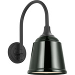 Academy Outdoor Arched 16 Mack Sm Rockhouse Wall Light - Matte Black / Green