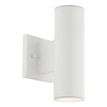 Cylinder Color-Select Outdoor Wall Sconce - White