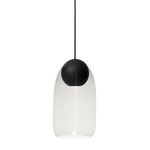 Liuku Ball Pendant with Glass Shade - Overstock - Black Stain Lacquered / Clear