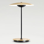 LED-Ginger Portable Table Lamp - Overstock - Matte Black / Brushed Brass / White Interior