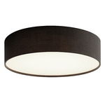 Ashland Color-Select Ceiling Light - Black / White