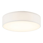 Ashland Color-Select Ceiling Light - White / White