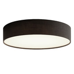 Ashland Color-Select Ceiling Light - Black / White
