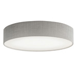 Ashland Color-Select Ceiling Light - Grey / White