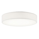 Ashland Color-Select Ceiling Light - White / White