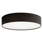 Ashland Color-Select Ceiling Light - Black / White
