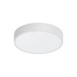 Brim Outdoor Color-Select Ceiling Light - White